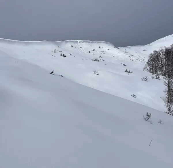 Paysage enneigé