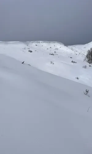 Paysage enneigé